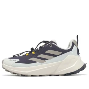 (WMNS) adidas x National Geographic Terrex Trailmaker 2 Gore-Tex 'Aurora Black Beige' JP7065