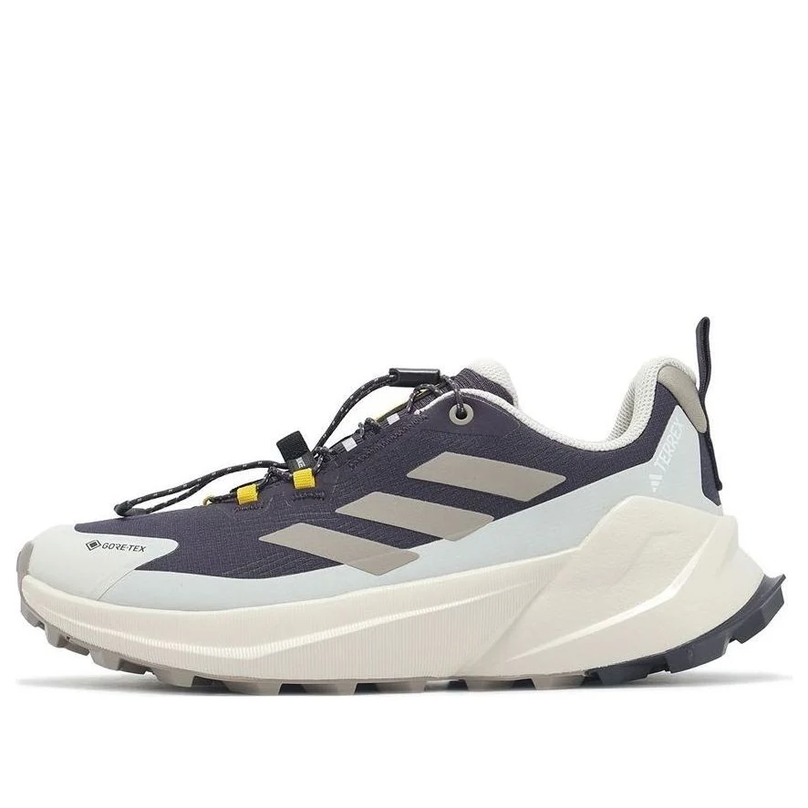 (WMNS) adidas x National Geographic Terrex Trailmaker 2 Gore-Tex 'Aurora Black Beige' JP7065