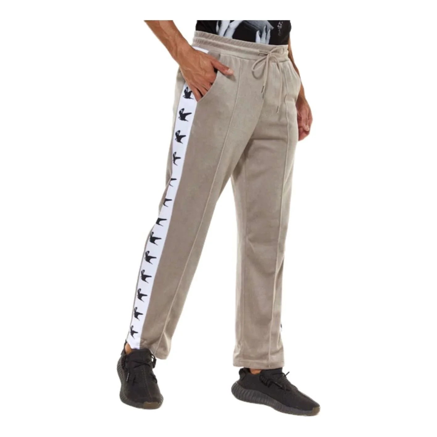 House of Cenmar Falcon Print Pants 'Gray' HOC-BVP