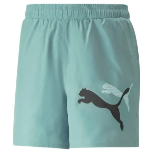 PUMA Essential Logo Power Woven Shorts 'Teal' 673382-84