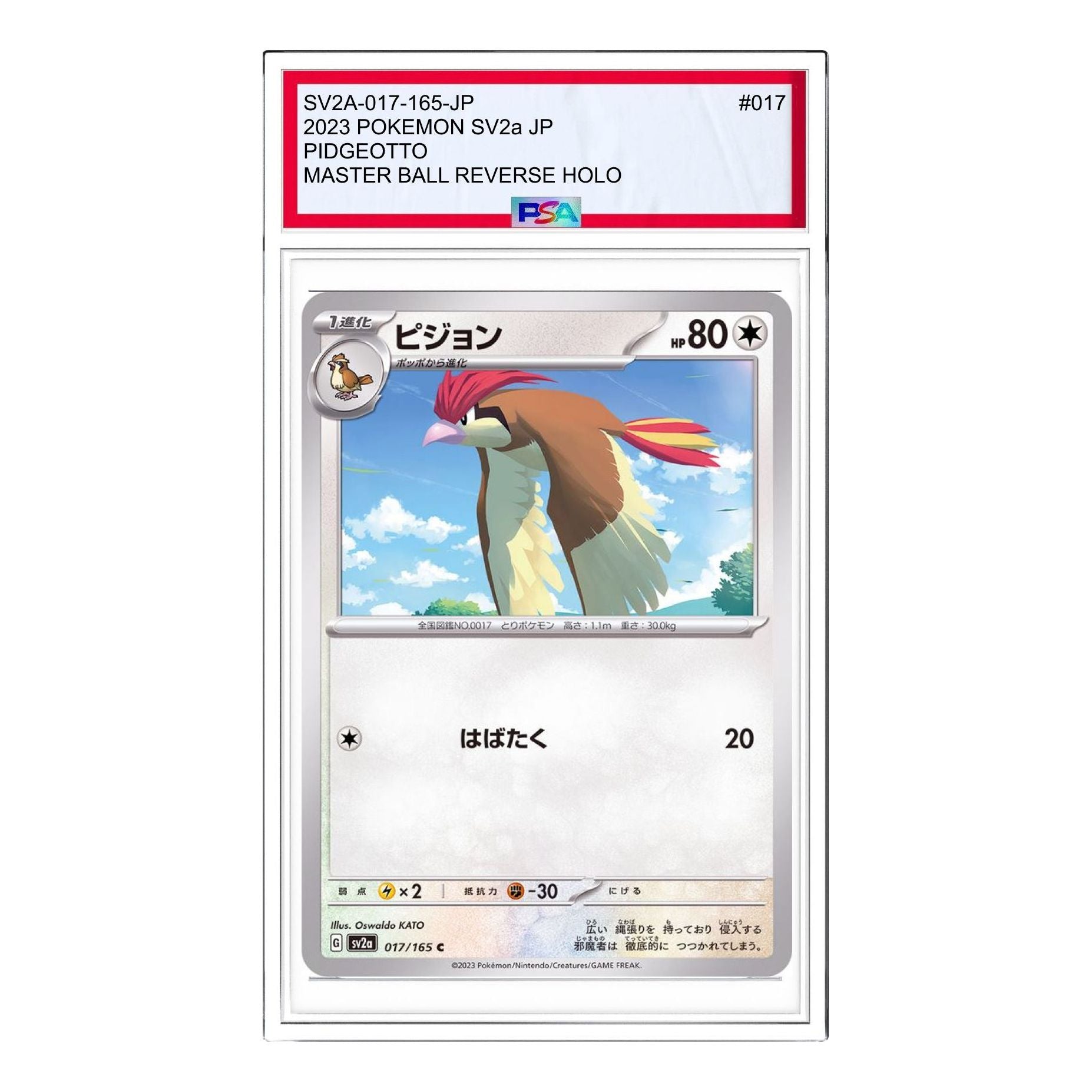 Pokemon Card JP 151 [SV2a 017/165] 'Pidgeotto C' SV2A-017-165-JP