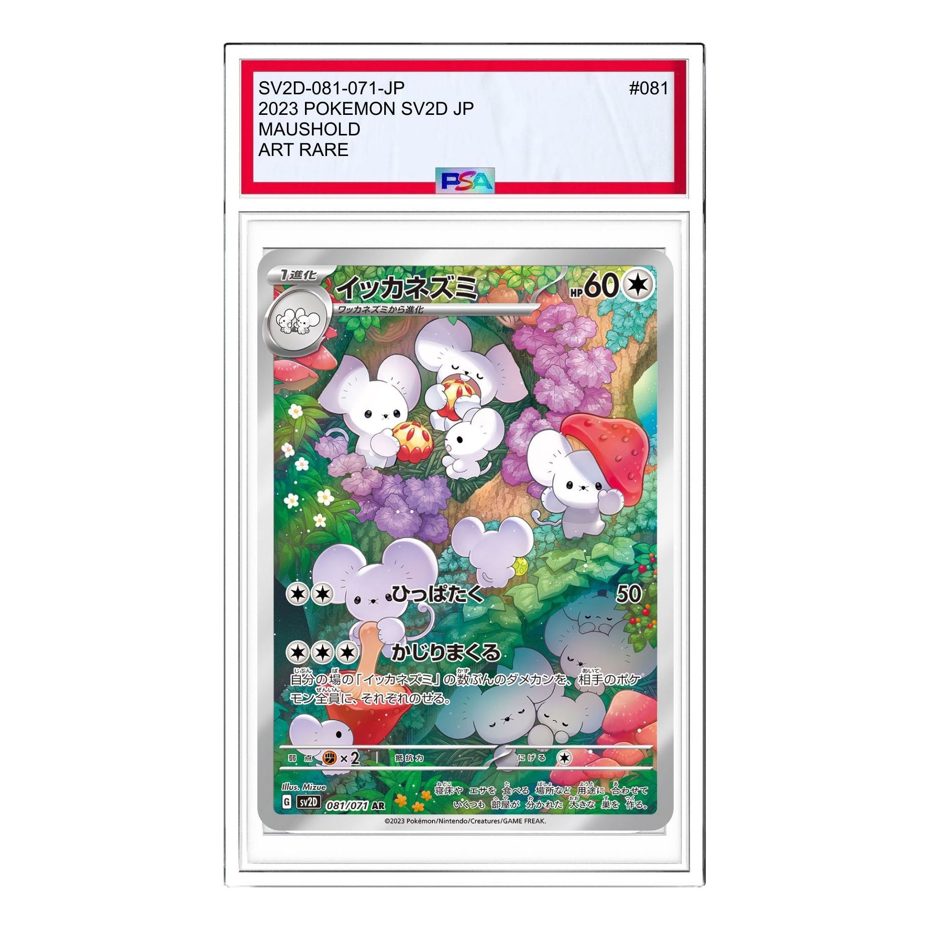Pokemon Card JP Clay burst & Snow hazard [SV2D 081/071] 'Maushold AR' SV2D-081-071-JP