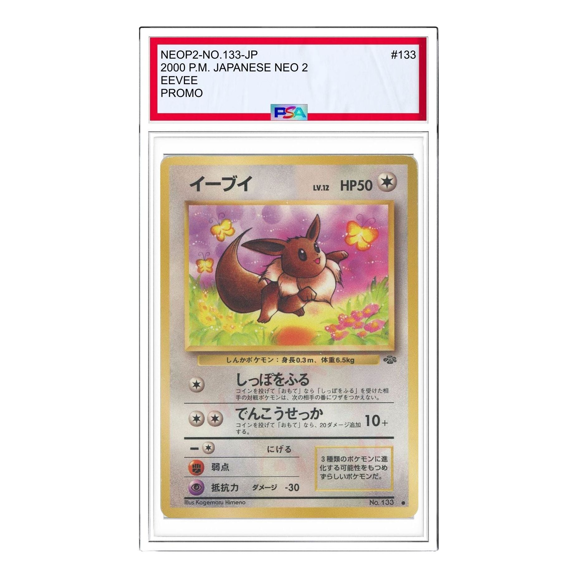 Pokemon Premium File 2 [neoP2 No.133] 'Eevee Premium File 2: Old Back' NEOP2-NO.133-JP