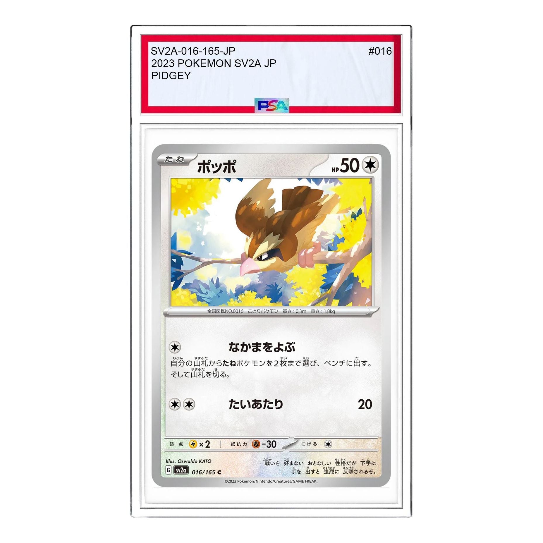 Pokemon Card JP 151 [SV2a 016/165] 'Pidgey C' SV2A-016-165-JP