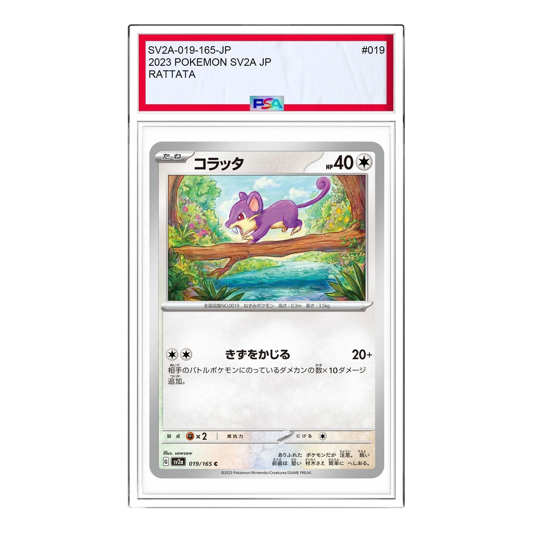 Pokemon Card JP 151 [SV2a 019/165] 'Rattata C' SV2A-019-165-JP