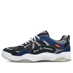 Boys of Summer x Vans Rowan Pro Black/Blue VN0A3WLN691