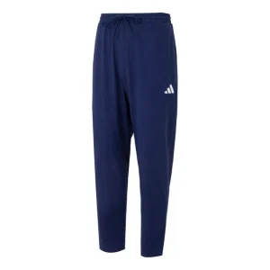 adidas Essentials Small Logo Single Pants Asia Sizing 'Blue' JF1108