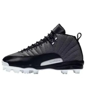 Air Jordan 12 Retro MCS 'Black Metallic Silver' 854566-010