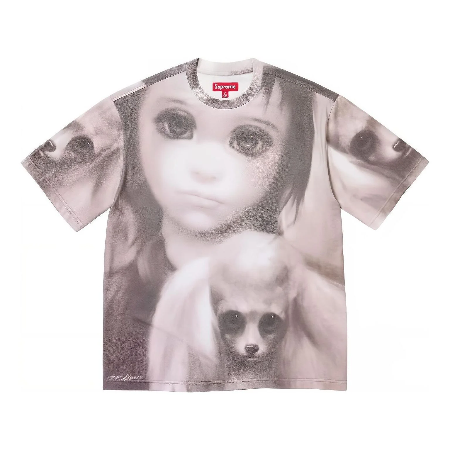 Supreme x Margaret Keane Best Friends S/S T-Shirt 'Multi-Color' SUP-SS24-0145