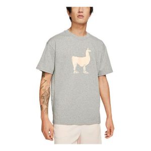 Nike SB Skateboard Printing Skateboard Loose Knit Short Sleeve Gray DD1299-063