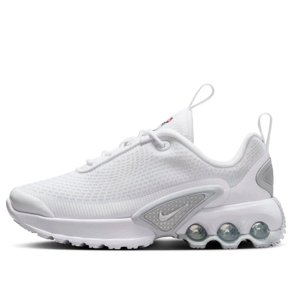 (PS) Nike Air Max DN 'White Metallic Silver' FN4453-100