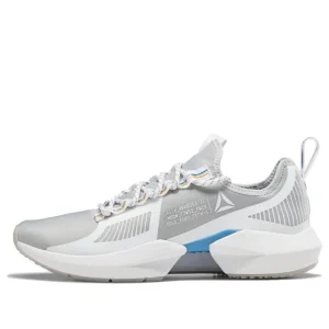 Reebok Sole Fury TS 'Skull Grey' DV9287