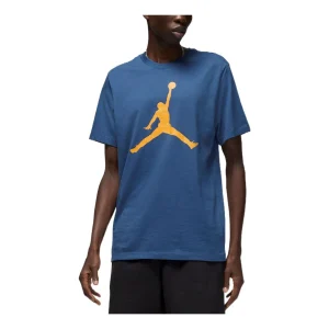 Air Jordan Jumpman LogoT CJ0921-493
