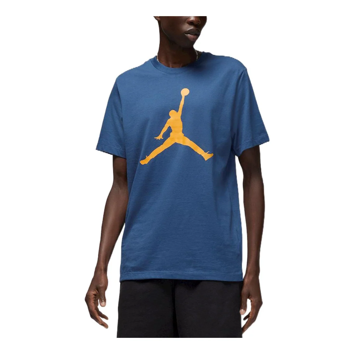Air Jordan Jumpman LogoT CJ0921-493