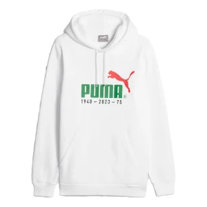 PUMA No.1 Logo Celebration Hoodie 'White' 676021-02