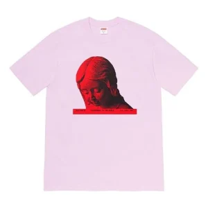 Supreme FW20 Week 17 Everywhere Tee T SUP-FW20-379-PINK