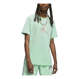 Air Jordan Sport DNA 23 T-Shirt 'Green' DO8898-379