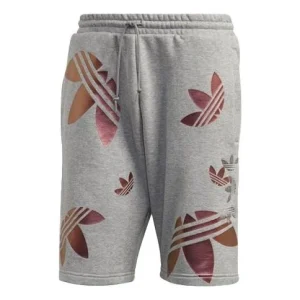 adidas originals Zeno Big Trefoil Logo Lacing Sports Shorts Gray GD0983