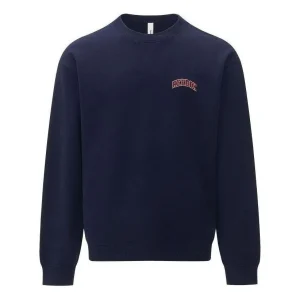 Reebok Vintage Sweatshirt 'Blue Red' 24SRC303UGN2