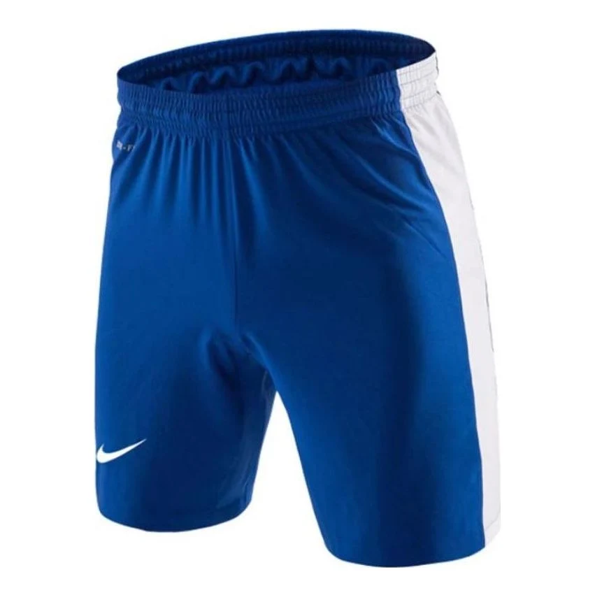 Nike Dri-FIIT Shorts 703209-463