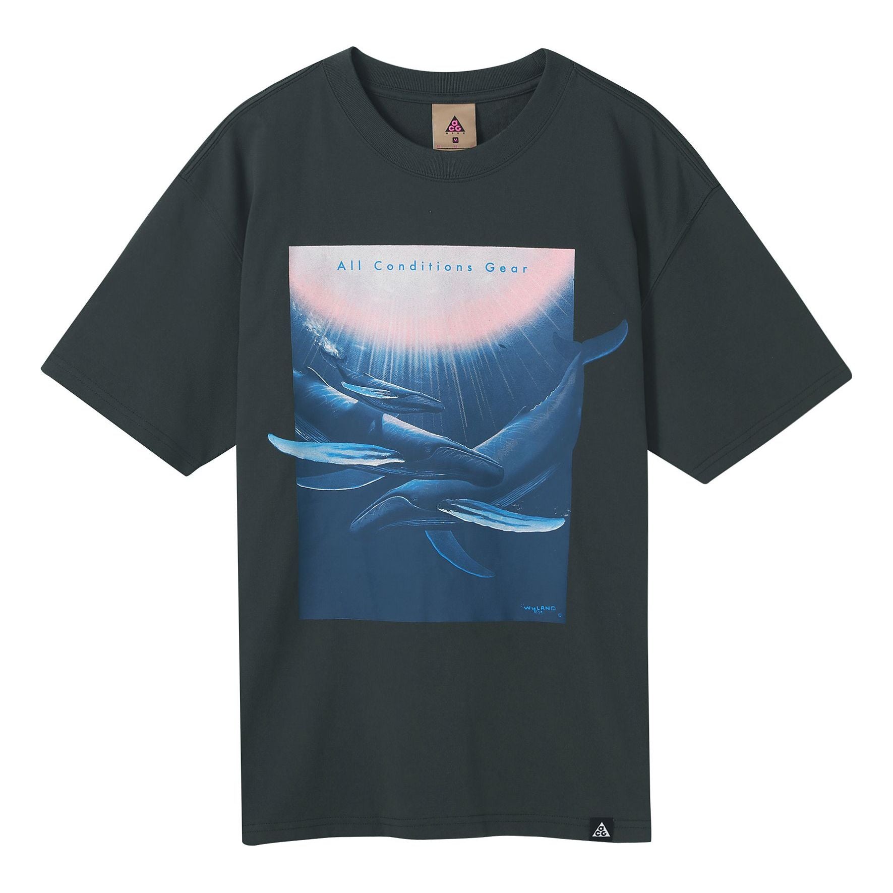 Nike x ACG Wyland Funny Printing Sports Loose Round Neck Short Sleeve Black Gray Blackgray DC5359-070