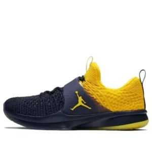 Air Jordan Trainer 2 Flyknit 'Michigan' 921210-407