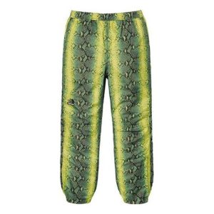 Supreme SS18 The North Face Snakeskin Taped Seam Pant Green SUP-SS18-387