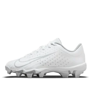 (GS) Nike Vapor Ultrafly 4 Keystone 'White Light Smoke Grey' DA0702-100