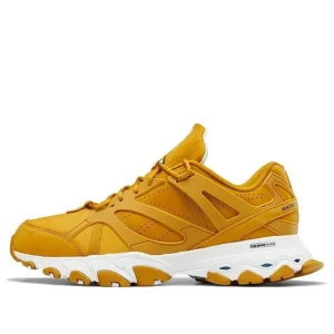 Reebok Mountain Research x DMX Trail Shadow 'Yellow Soil' FW3335
