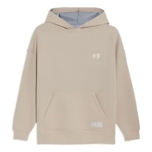 Li-Ning Sports Stylish Series Logo Embroidered Hoodie 'Beige Grey' AWDS087-4