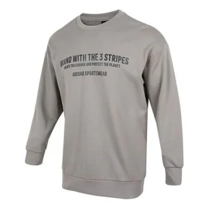 Men's adidas Alphabet Printing Pattern Round Neck Pullover Long Sleeves Light Grey HZ7020