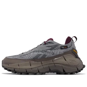 Reebok Zig Kinetica 2.5 Edge 'Grey Burgundy' 100034215