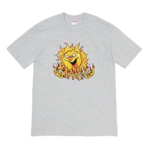 Supreme FW20 Week 7 Sun Tee T SUP-FW20-172-GRAY