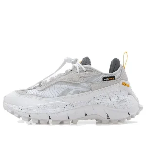 Reebok Zig Kinetica 2.5 Edge 'White' 100202182