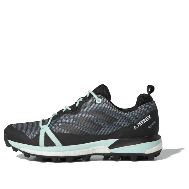 (WMNS) adidas Terrex Skychaser LT GTX 'Ash Grey Mint' F36120
