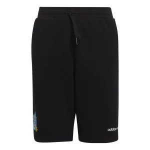 (GS) adidas Graphic Stoked Beach French Terry Shorts 'Black' HF7447