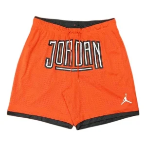Air Jordan Wordmark Basketball Shorts 'Orange' DX6601-869