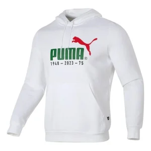 PUMA Logo Printed Casual Hoodie 'White Green Red' 678413-02