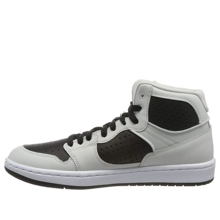 Air Jordan Access Black/Grey AR3762-010