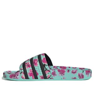 adidas AriZona x Adilette 'Green Tea With Ginseng And Honey' FV2720