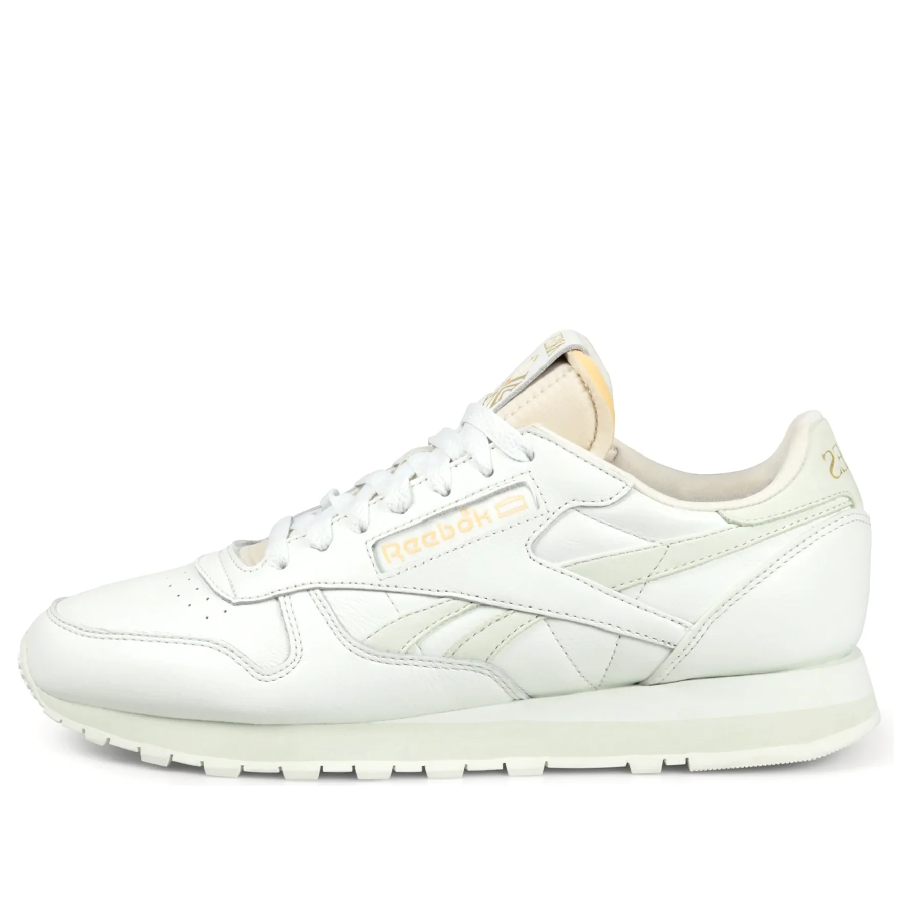 Reebok x Aries Classic Leather 'Mystic Shoes' 100201988