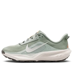 (GS) Nike x ACG Pegasus Trail 'Jade Horizon Light Silver' IH2305-301