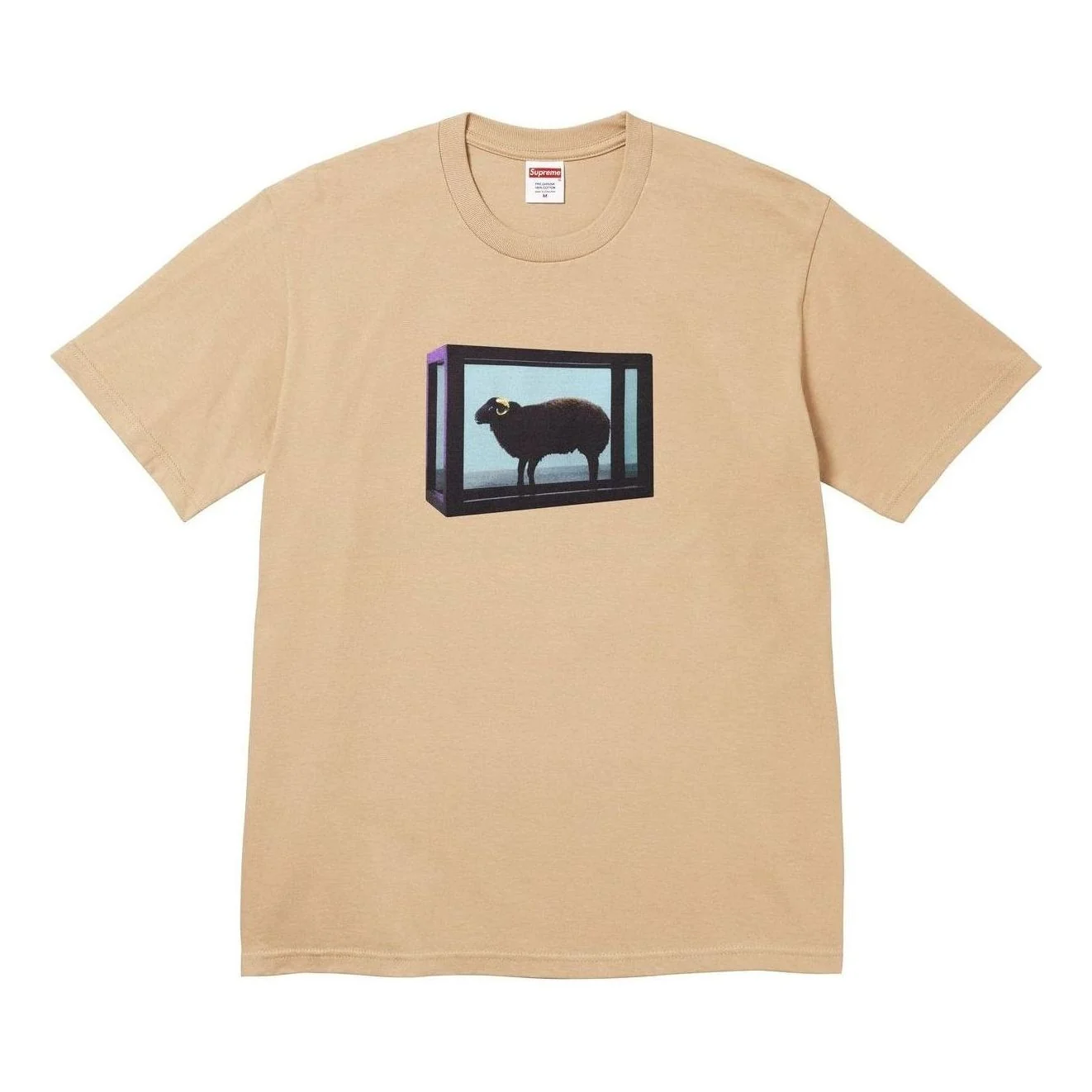 Supreme x Damien Hirst T-Shirt 'Khaki' SS25T5-KHAKI