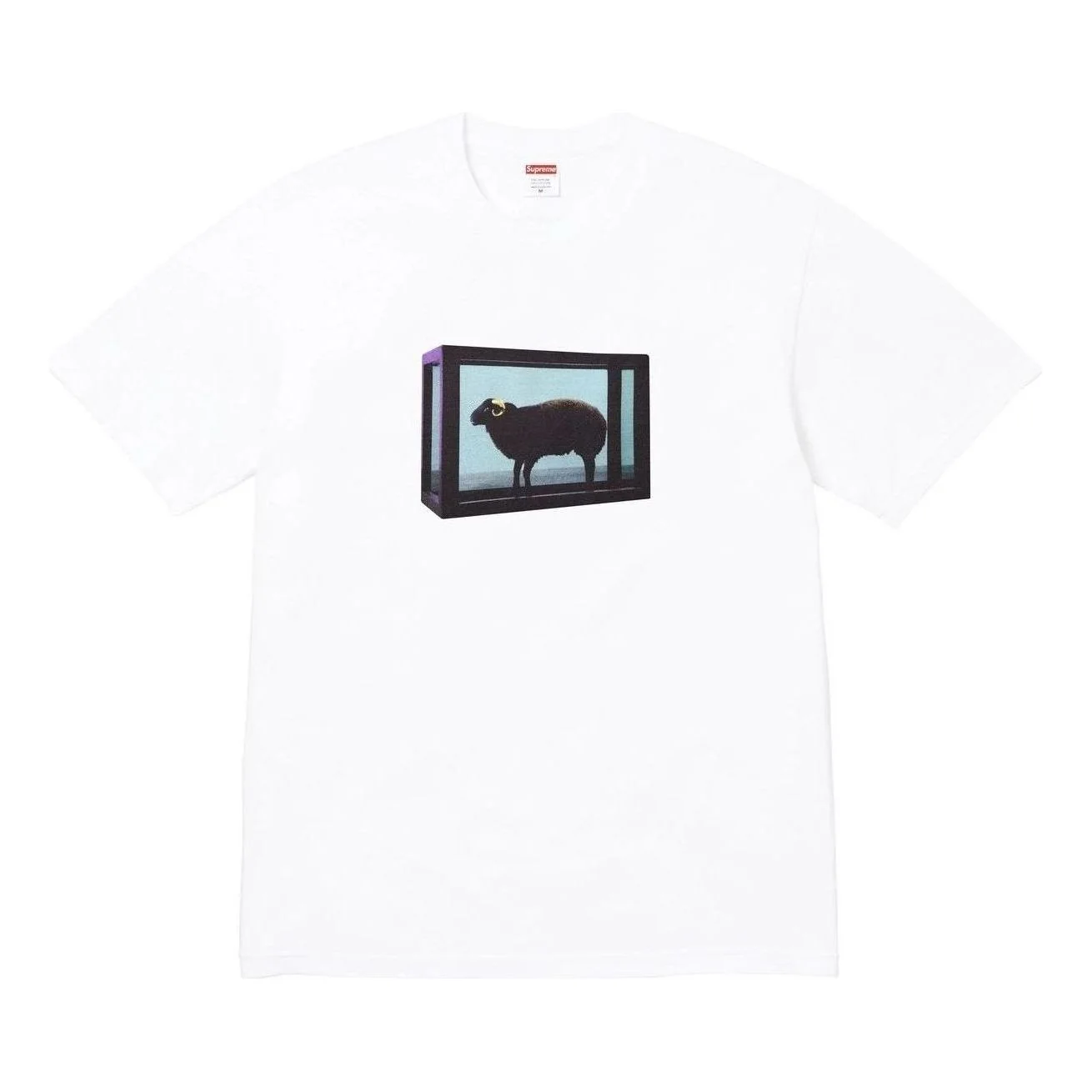 Supreme x Damien Hirst T-Shirt 'White' SS25T5-WHITE